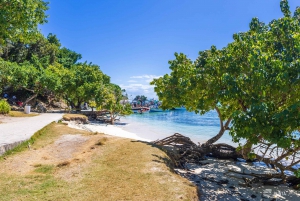 Samana: Avistamiento de ballenas y Cayo Levantado con almuerzo