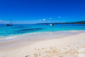 Samana: Avistamiento de ballenas y Cayo Levantado con almuerzo