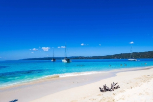 Samana: Avistamiento de ballenas y Cayo Levantado con almuerzo