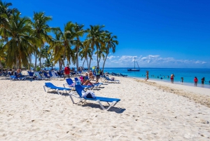 Samana: Avistamiento de ballenas y Cayo Levantado con almuerzo