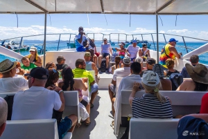 Samana: Avistamiento de ballenas y Cayo Levantado con almuerzo