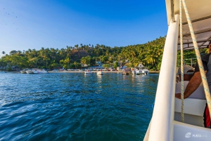 Samana: Avistamiento de ballenas y Cayo Levantado con almuerzo