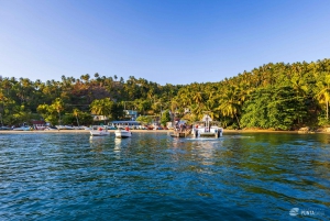 Samana: Avistamiento de ballenas y Cayo Levantado con almuerzo