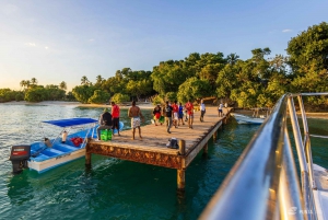 Samana: Avistamiento de ballenas y Cayo Levantado con almuerzo