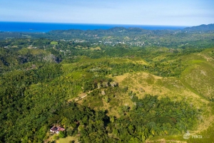 Samana: Avistamiento de ballenas y Cayo Levantado con almuerzo