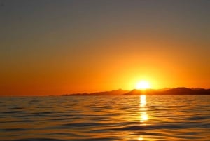 San Jose del Cabo private Sunset cruise