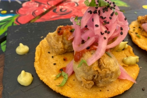 San Jose del Cabo:Alma de Mexico Tacos and Tostadas Tasting
