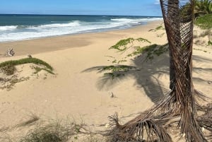 San Juan:Beach hopping Los Tubos, Hacienda Esperanza & more
