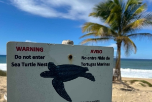 San Juan:Beach hopping Los Tubos, Hacienda Esperanza & more