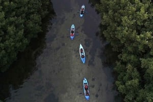 San Juan: Bioluminescent Bay Kayak Adventure by Night