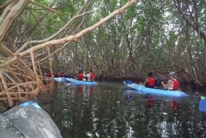 San Juan: Aventura nocturna en kayak por la bahía bioluminiscente