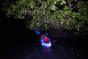 San Juan: Bioluminescent Bay Kayak Adventure by Night