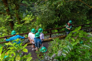 San Juan: Excursión a las Cuevas de Camuy con servicio de recogida y regreso