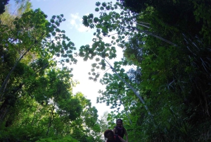San Juan; Charco Azul & Cueva del Indio Adventure