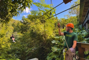 San Juan: Ecoaventura en tirolina cerca de la ciudad