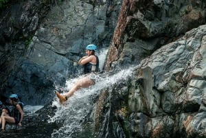 San Juan: El Yunque and Bio Bay Full-Day Tour with Transport