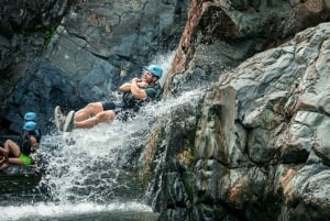 San Juan: El Yunque and Bio Bay Full-Day Tour with Transport