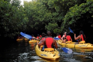 San Juan: El Yunque Rainforest Hike & Waterslide and Bio Bay