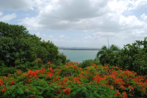 San Juan: History Walking Tour with a Guide