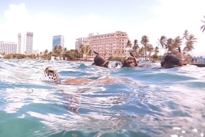 San Juan: Kids and Family Snorkeling Adventure with Videos