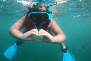 San Juan: Kids and Family Snorkeling Adventure with Videos