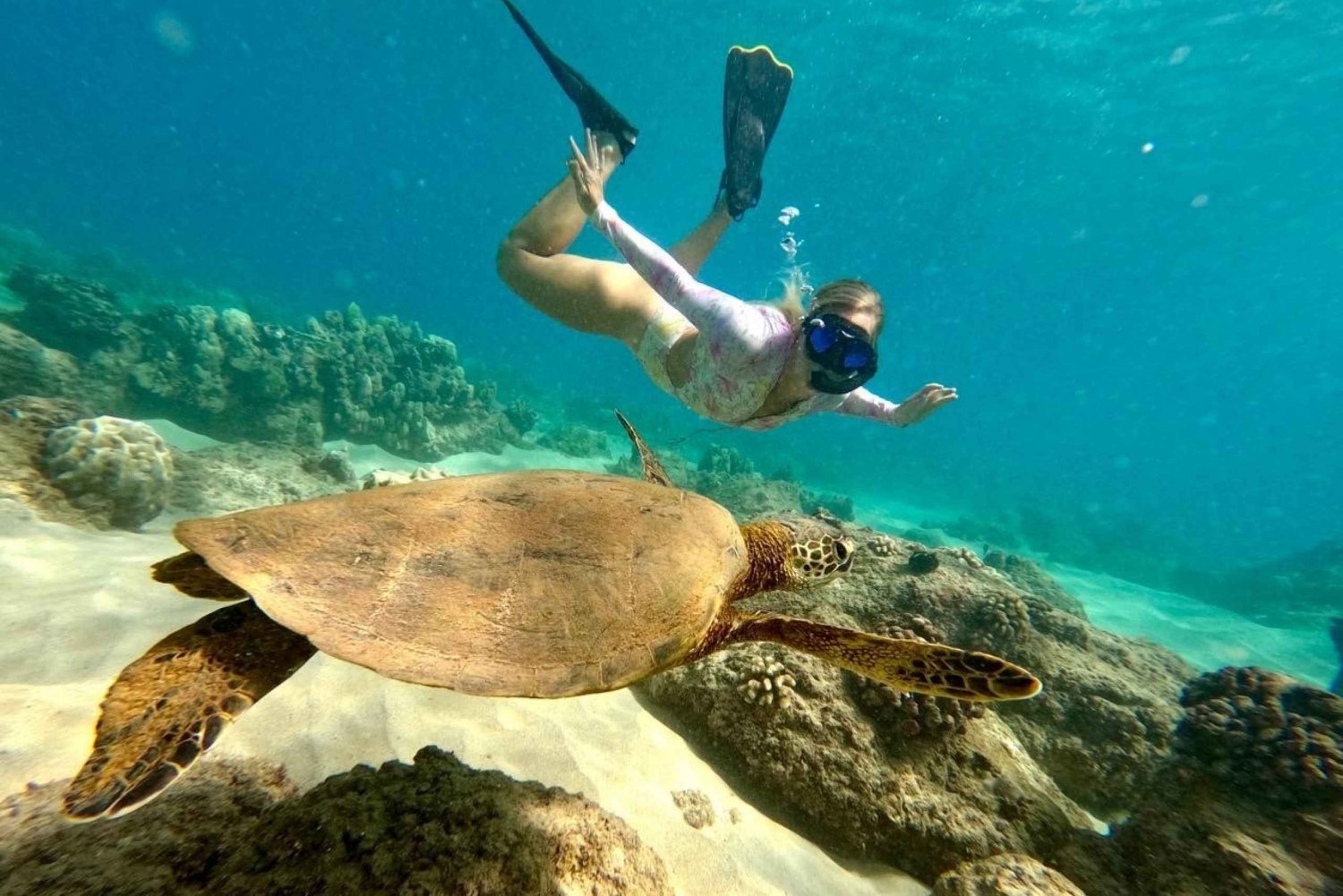 San Juan: Excursión de natación y snorkel con tortugas