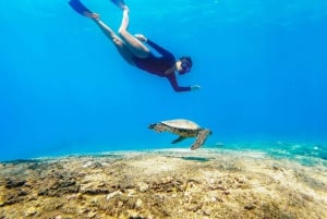 San Juan: Beginner Snorkeling Tour with Turtles and Videos