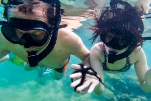San Juan: Beginner Snorkeling Tour with Turtles and Videos