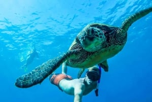 San Juan: Beginner Snorkeling Tour with Turtles and Videos
