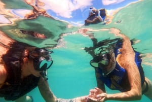 San Juan: Beginner Snorkeling Tour with Turtles and Videos