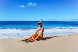 San Juan: Beginner Snorkeling Tour with Turtles and Videos