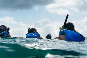 San Juan: Beginner Snorkeling Tour with Turtles and Videos