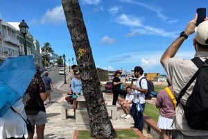 San Juan Walk Through History