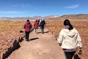 San Pedro de Atacama: 3-Day Activity Combo with 4 Tours