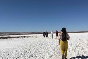 San Pedro de Atacama: 3-Day Activity Combo with 4 Tours