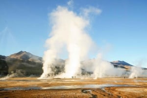 San Pedro de Atacama: Excursión a los Géiseres del Tatio