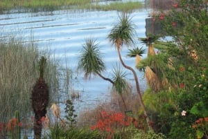 Santa Cruz La Laguna 6-Hour Adventure Activities Tour