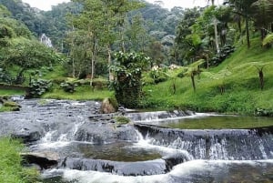 Termas de Santa Rosa de Cabal