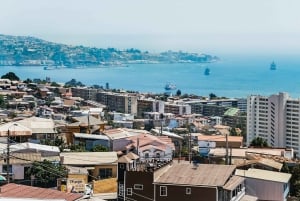 Santiago: tour Viña del Mar, Valparaíso, Casablanca y Reñaca