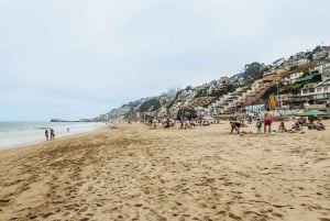 Santiago: Vina Del Mar, Valparaiso, Casablanca & Reñaca Tour