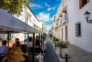 Santo Domingo city tour with lunch from Punta Cana