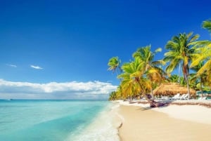 Saona Island from Punta Cana: Full day excursion, all inclusive