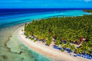 Saona Island from Punta Cana: Full day excursion, all inclusive