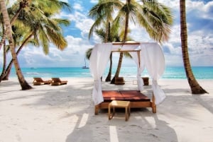 Saona Island from Punta Cana: Full day excursion, all inclusive