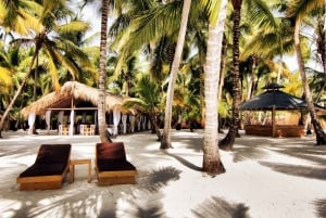 Saona Island from Punta Cana: Full day excursion, all inclusive