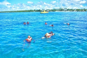 Saona Island from Punta Cana: Full day excursion, all inclusive