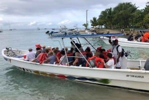 Saona Island from Punta Cana: Full day excursion, all inclusive