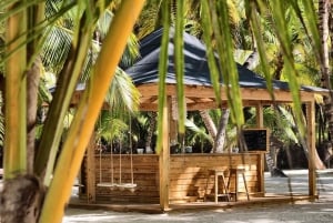 Saona Island from Punta Cana: Full day excursion, all inclusive