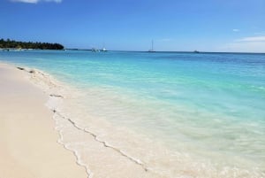 Saona Island: Relaxation Day Trip with Open Bar