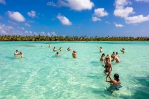 Saona Island: Relaxation Day Trip with Open Bar